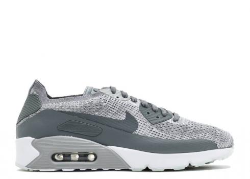 Nike Air Max 90 Ultra 2.0 Flyknit Pure Platinum Grey Wolf White Cool 875943-003