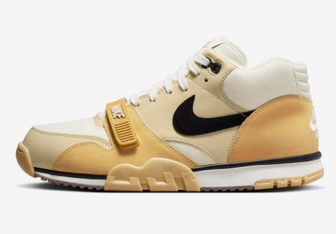 Nike Air Trainer 1 Coconut Milk Black Team Gold Sail DV7201-100