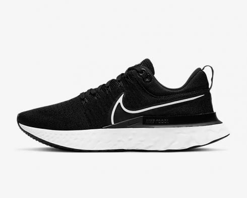 Nike React Infinity Run Flyknit 2 Black White Iron Grey CT2357-002