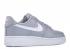 Air Force 1-07 White Wolf Grey AA4083-013