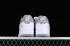 Nike Air Force 1 07 Low DIOR White Grey DR6239-836