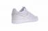 Nike Air Force 1 Low Pure White Replacement Hook 312532-116