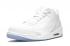 Nike Air Jordan 3 Retro Pure Money White Silver 136064-103