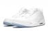 Nike Air Jordan 3 Retro Pure Money White Silver 136064-103