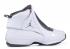 Nike Air Jordan 19 Retro White Flint Grey AQ9213-100