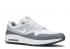 Nike Air Max 1 Golf Pure Platinum Grey Wolf White Cool AQ0863-002