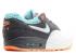 Nike Wmns Air Max 1 Premium European Exclusive Glacier Ice Grey Metallic Dark White Silver 454746-103