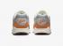 Patta x Nike Air Max 1 Monarch Special Box Metallic Silver Pure Platinum DH1348-001