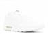 Air Max 90 Hyp QS USA White 613841-110