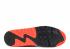 Air Max 90 Anniversary Infrared Snake Dusty Infrrd Cactus Black White 725235-300