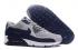 Air Max 90 Essential Wolf Grey Binary Blue Dark Grey White 537384-064