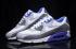 Nike Air Max 90 Essential Purple Wolf Grey White 537384-122