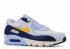 Nike Air Max 90 Essential Royal Tint AJ1285-008
