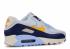 Nike Air Max 90 Essential Royal Tint AJ1285-008