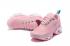 Nike Air Max 270 TN Plus Pink Mint AT6789-009