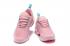 Nike Air Max 270 TN Plus Pink Mint AT6789-009