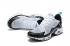 Nike Air Max 270 TN Plus White Black Mint AT6789-007