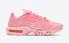 Nike Air Max Plus City Special ATL Pink White Shoes DH0155-600