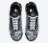 Nike Air Max Plus Dark Smoke Grey Black White DO6384-001
