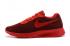 Nike Tanjun SE BR Men Running Shoe Wine Red 844887-666