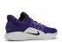 Nike Hyperdunk X Low Tb Court Purple Black White AR0463-500
