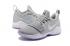 Nike Zoom PG 1 EP Paul Jeorge Year One gray white Men Basketball Shoes 878628-900