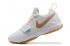 Nike Zoom PG 1 EP Paul Jeorge white gold Men Basketball Shoes 880304-110