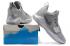 Nike Zoom PG 1 Paul George Men Basketball Shoes Silver Grey All White 878628