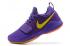 Nike Zoom PG 1 The lakers purple Men Basketball Shoes 878628-007