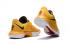 Nike Zoom Live 2017 Multi Color men Basketball Shoe 852420-999