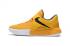 Nike Zoom Live 2017 Multi Color men Basketball Shoe 852420-999