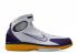 Nike Air Total Package 2k4 Asia Release White Purple Canyon Gold 310431-112