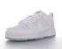 Nike Dunked Sportowe All White Running Shoes CU8876-104