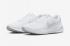 Nike Revolution 7 White Pure Platinum FB2207-100
