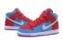 Nike DUNK SB High Skateboarding Unisex Shoes Lifestyle Shoes Sky Blue Red White 313171