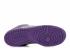 Dunk Low Pro Sb Purple Pigeon Light Prism Graphite Violet 304292-051