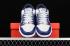 NBA x Nike SB Dunk Low Brooklyn Nets 75th Anniversary DD3363-001
