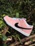Nike DUNK SB Low Skateboarding Shoes Lifestyle Unisex Shoes Pink Black 833474-601