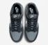 Nike SB Dunk Low Anthracite Pure Platinum Cool Grey FV0384-001