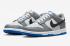 Nike SB Dunk Low GS Cool Grey Light Photo Blue Pure Platinum FB9109-001