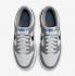 Nike SB Dunk Low GS Cool Grey Light Photo Blue Pure Platinum FB9109-001