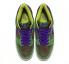 Nike SB Dunk Low SP Veneer Green Deep Purple Shoes DA1469-200