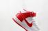 Nike SB Dunk Mid PRO ISO White Red Blue Kids Shoes CD6754-100