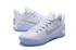 Nike Kobe A.D. Chrome White Metallic Silver 852425 110