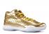 Nike Kobe 10 Mid Ext Liquid Gold Black Metallic 802366-700