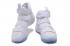 Nike Zoom Lebron Soldier XI 11 EP White 897646-100