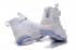 Nike Zoom Lebron Soldier XI 11 EP White 897646-100