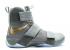 Nike Lebron Soldier 10 Sfg Pe Battle Grey Wolf Gold Cool 899620-010