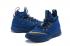 Nike Lebron Witness III 3 High Philippine Blue Gold 884277-403