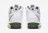Nike Zoom LeBron 3 QS SVSM Home White Deep Forest Gold Dust AO2434-102